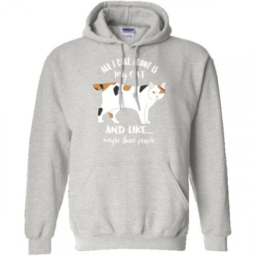 all-i-care-about-is-my-cat-hoodie-pullover.jpg