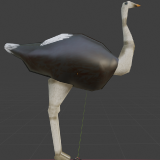 avestruz1
