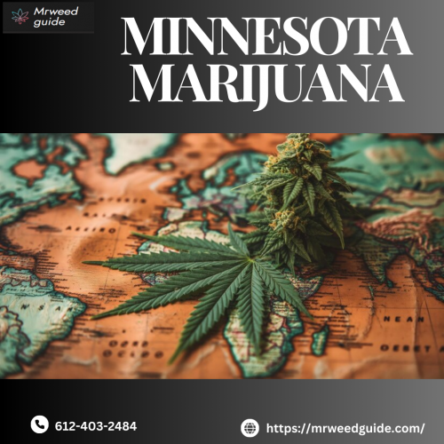 Stay informed about Minnesota's marijuana laws, dispensaries, and usage regulations. Whether for medical or recreational purposes, understanding the state's cannabis policies is essential. Discover licensed dispensaries, legal purchasing options, and consumption guidelines. Learn about the benefits of marijuana, patient eligibility for medical use, and the latest updates on legalization. Stay ahead with accurate and up-to-date information on marijuana in Minnesota!