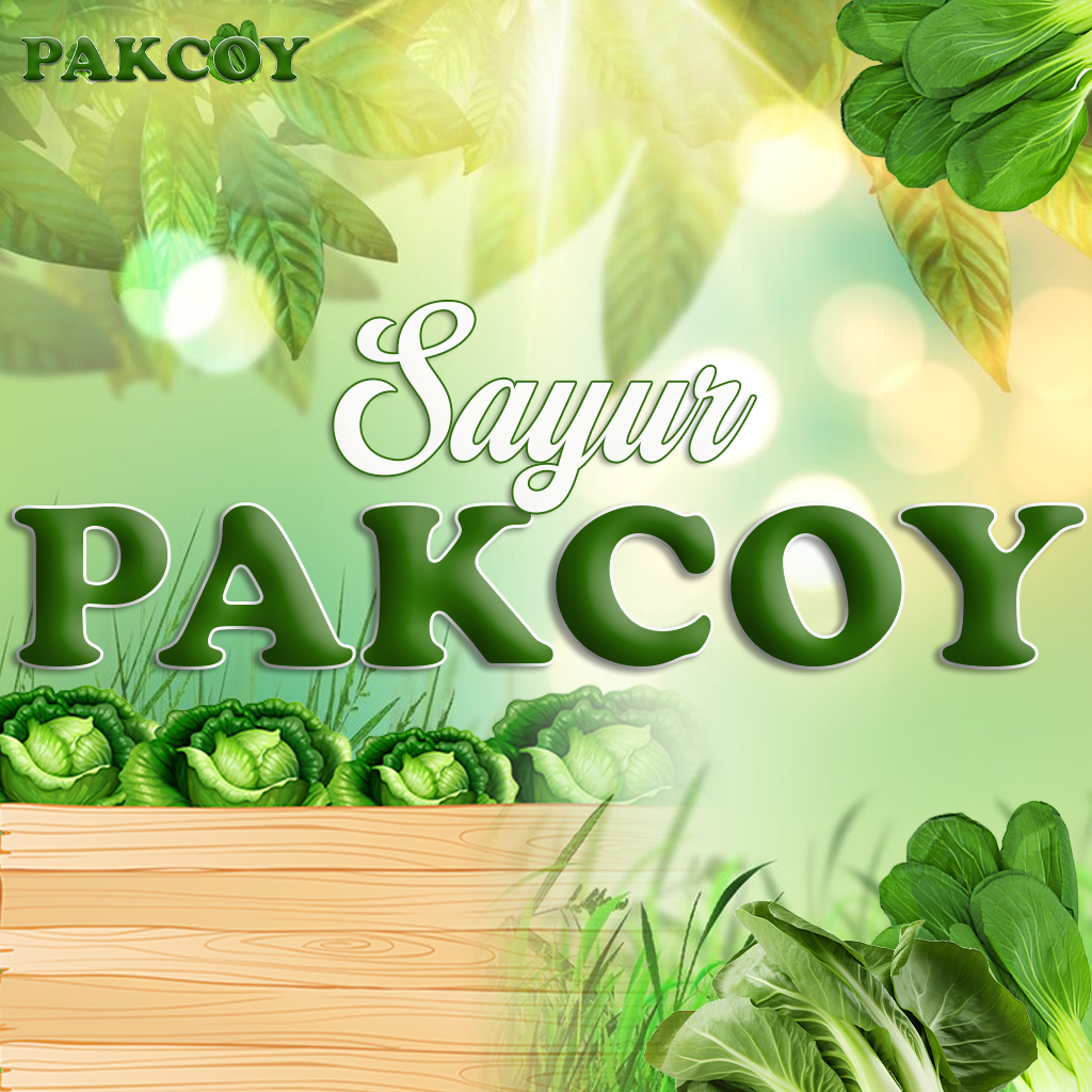 Pakcoy