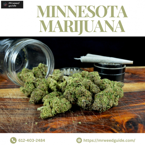 Stay informed about Minnesota’s marijuana laws and regulations. Learn about the state’s stance on medical and recreational cannabis, licensing requirements, and possession limits. Whether you're a patient, consumer, or business owner, understanding the legal framework is essential for compliance and responsible use. Stay updated on the latest developments in Minnesota’s evolving marijuana policies with our comprehensive guide.