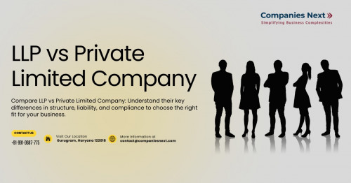 Curious about the differences between LLP and Pvt Ltd? Learn how each structure works, from liability to tax benefits, and find out which one’s right for your business. For more information visit here- https://www.companiesnext.com/blog/llp-vs-private-limited-company-a-comparative-analysis-for-business-owners