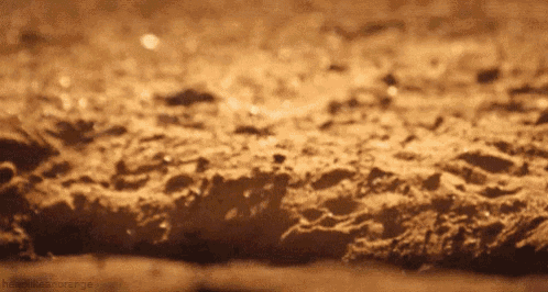 https://s3.gifyu.com/images/bSSXe.gif