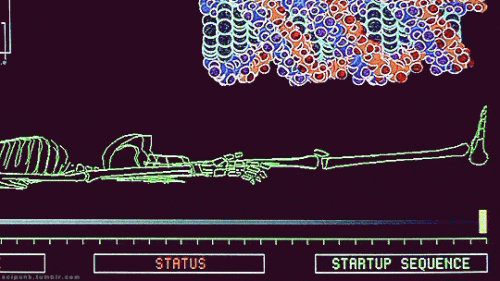 tumblr 6b27037713c65760658d54c384c05cd3 794bd279 540 ezgif.com optimize