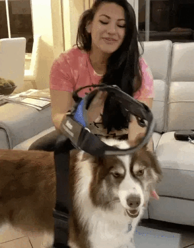 ezgif 8fc2f500b5f6f2