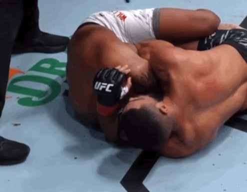 bScvN.gif