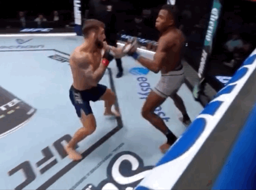 bSn64.gif