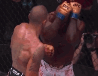 bSn6I.gif