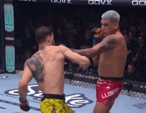 bSn6V.gif