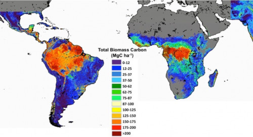 It is essential to remove carbon from the air to combat global warming. Methods like reforestation and afforestation involve planting trees to absorb CO2.  But they are vulnerable to forest fires. Carbon capture and storage (CCS) technology captures CO2 from industrial sources and stores it underground. Soil carbon sequestration practices, such as no-till farming, can store more carbon in the ground. Direct air capture (DAC) technologies remove CO2 directly from the air, for storage underground.  Visit: https://www.globalwarming-sowhat.com/reversing-climate-change/intro-to-carbon-removal