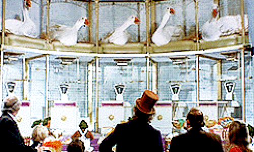 https://s3.gifyu.com/images/bbMAI.gif