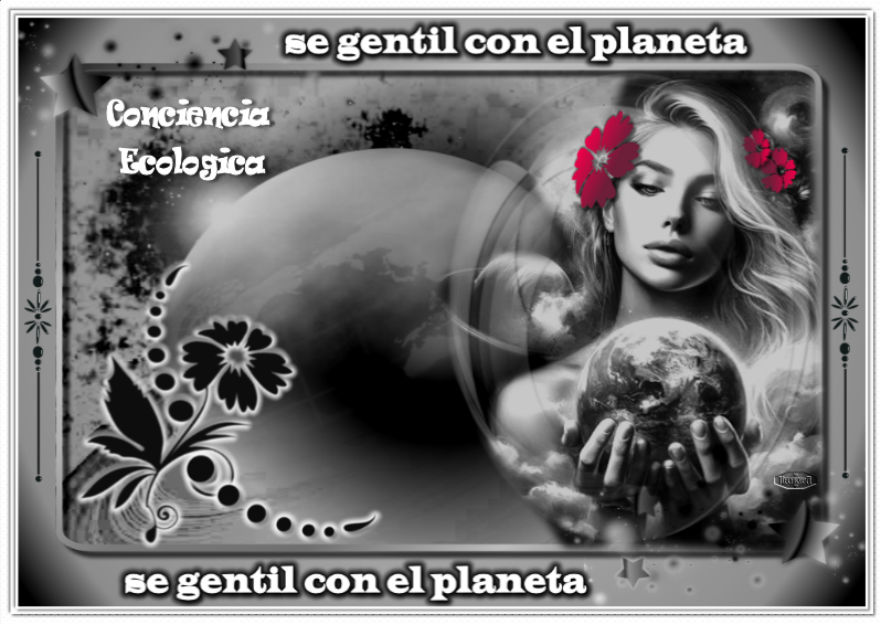 planethechiceratarjeta0