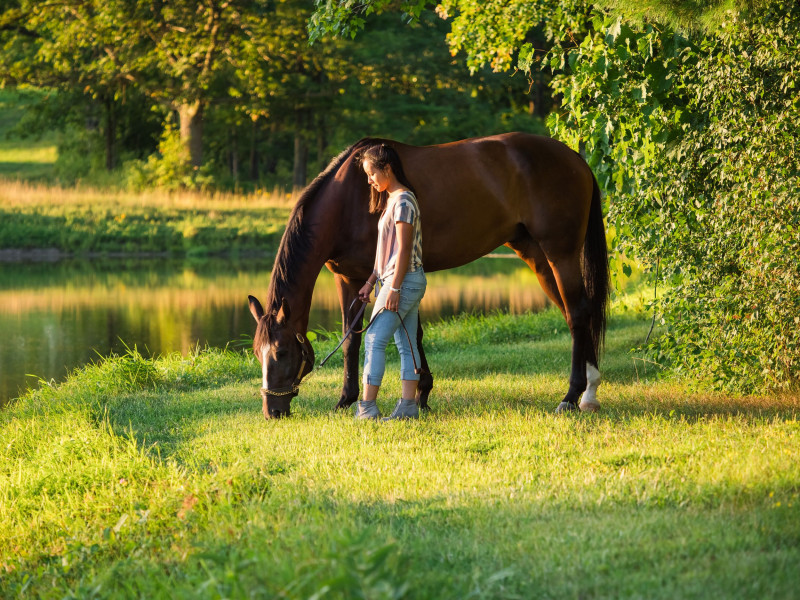 Contact Vermont Photographers and Capture the Best Beauty – BizLinkBuilder