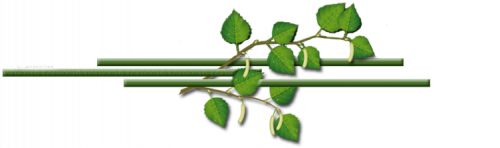 s1200f7e3f9968d18f66f