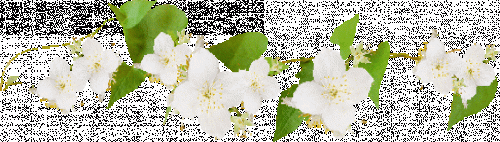 148285892 0 9089d a513b4dc L