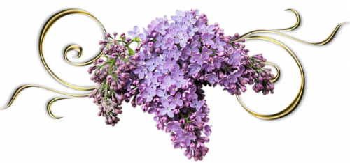 147693225 0 1c395a 40727fba orig