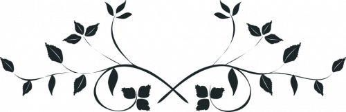 RAZDELITELI GORIZONTALNYE DoV 28