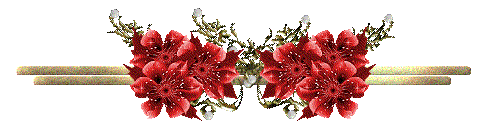 bbcDi.gif
