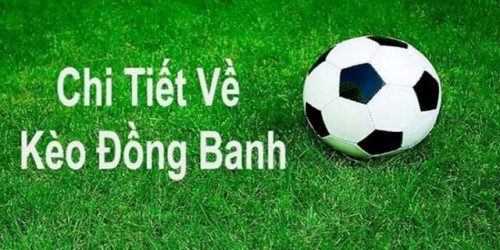 Kèo đồng banh, hay còn được gọi đơn giản là kèo hòa, thường xuất hiện với ký hiệu số 0 trên bảng kèo của nhà cái. Đây là một loại kèo châu Á rất được lòng dân cá cược bóng đá, mang đến sự kịch tính và cơ hội thử tài dự đoán. Điểm nổi bật của kèo này chính là sự công bằng tuyệt đối giữa hai đội, không ai phải nhường ai.
Khi nhà cái “soi” kỹ lưỡng và nhận ra hai đội bóng đang ở thế giằng co – từ lực lượng, phong độ cho đến lịch sử đối đầu – thì kèo đồng banh sẽ được tung ra. Không có đội nào phải chấp, bởi họ đã ở cùng một “đẳng cấp” trong mắt các chuyên gia. Điều này biến trận đấu thành một màn đấu trí thực thụ, đầy thách thức cho người chơi.
Vì tính chất “ngang cơ” ấy, muốn thắng kèo đồng banh, bạn cần dành thời gian phân tích thật sắc sảo. Đừng để sự cân bằng làm bạn lúng túng, bởi dù khó, đây cũng là cơ hội để bạn thể hiện bản lĩnh. Hơn nữa, hiện nay nhiều trang web và nhà cái uy tín sẵn sàng đồng hành, cung cấp thông tin chuẩn xác để bạn tự tin chốt kèo!

Xem chi tiết tại: https://fun88kyc.com/keo-dong-banh-la-gi/ 
Xem thêm tại: https://www.pinterest.com/fun88kyc/ 
#keodongbanh #fun88 #nhà_cái_fun88 #fun88kyc