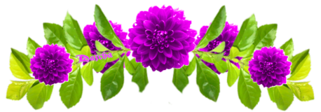 bbmQd.png