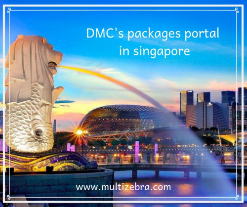 best-DMC-packages-portal-2.jpg