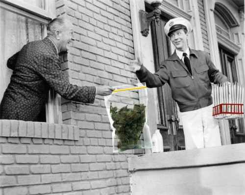 cannabis-delivery-business.jpg