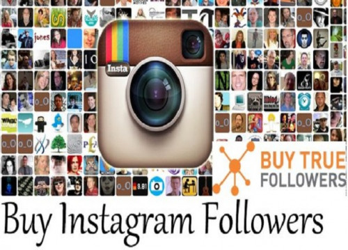 One of the absolute first things that a fresh out of the plastic new individual must do is to expand the Bio region that is incorporated on the highest point of your comprar seguidores instagram españoles profile. This helpful room should be utilized to figure out who your business is, your main thing, and your site data. 

#comprarseguidoresInstagram #comprarseguidoresrealesInstagram #comocomprarseguidoresInstagram

Web: https://losfamos.com/comprar-seguidores-instagram/