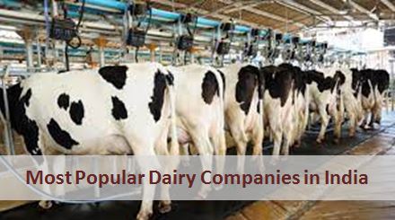 dairy-companies-in-india.jpg