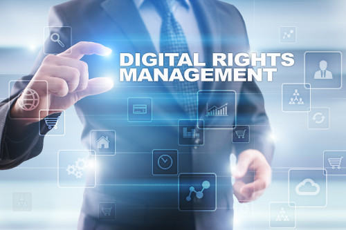 Chetu provide custom digital rights management software solutions to protect your business from the information misuse, digital content management, etc. We have experienced developers to program on demand digital rights management software as per your business need. To know more, please visit: https://www.chetu.com/media-entertainment/digital-rights-management.php