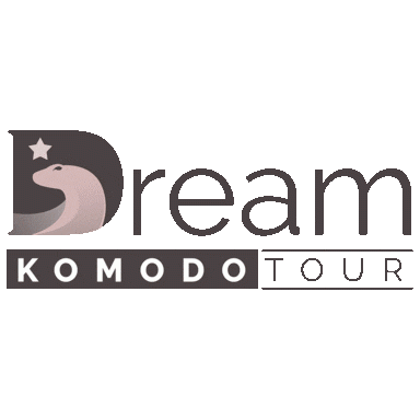 In a Komodo Shore Tour, you will visit the spectacular spots to experience sun bathing, snorkeling, swimming, and more. Visit Dreamkomodotour.com.