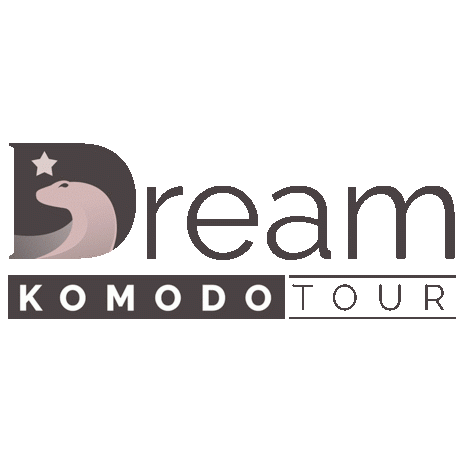 Want to witness the fierceness of world’s largest living lizard? Browse Dreamkomodotour.com to pick the best Komodo Dragon Tour for yourself.