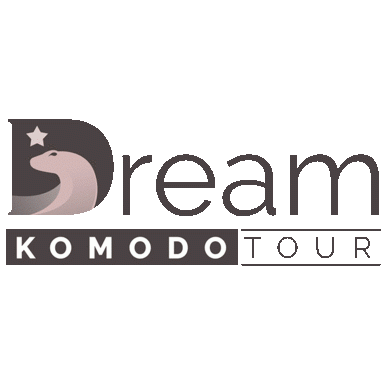 At Dream Komodo Tour, our expert travel agents design cruise ship packages aligned with your choice of itinerary. Feel free to contact us today! visit us-https://dreamkomodotour.com/