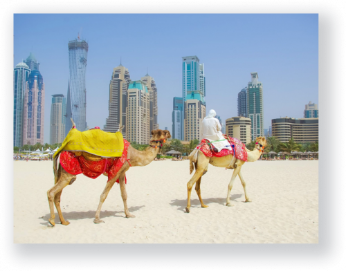 dubai_fun_activity---Copy.png