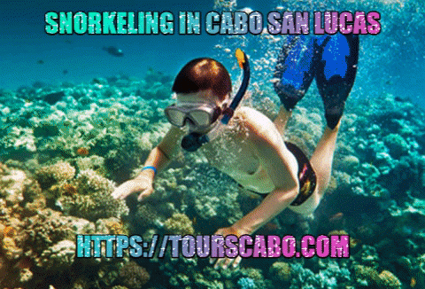 Snorkeling is a popular recreational activity, particularly held at tropical resort locations. Snorkeling is a kind of mask used to breathe while swimming. Cabo San Lucas is the best place for Snorkeling in Cabo.https://bit.ly/2HIlnRP