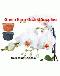 Whether you have few numbers of orchids or a huge number of, our Orchid nursery in Florida can help you with all type of plant food, bloom boosters, insecticides, fungicides, and chemicals to keep your plant healthy.