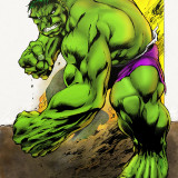 hulk_by_davis_and_farmer_and_pd_by_statman71_dak1wgs-fullview