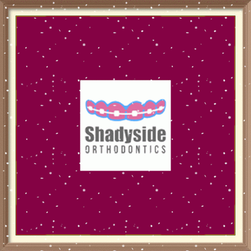 Shadyside Orthodontist is committed to providing affordable orthodontic treatment to all in a caring and comfortable environment. For more information visit our website.
https://www.shadysideorthodontics.com/