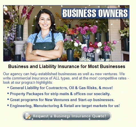 Business liability insurance in Texas protects an organization and/or business owner in the event of a formal lawsuit or any other third-party claims. It covers any financial liability incurred in addition to expenses associated to the company's legal defense. At Brock Insurance Group, LLC, we are here to help you on this.Visit,https://bit.ly/2Qar26J