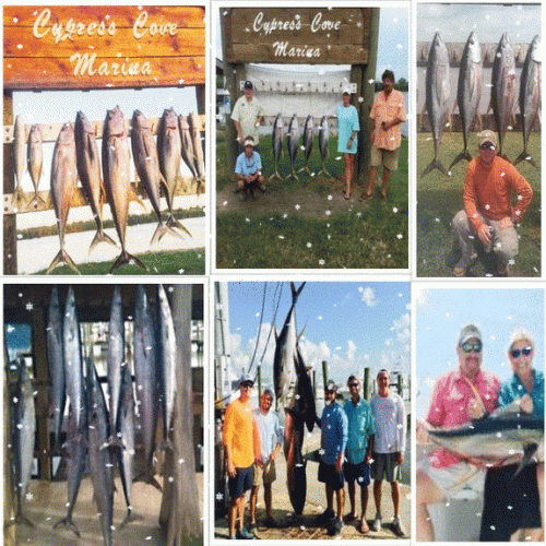 Champion Charters ,the best Venice Louisiana Fishing Charters Company, is  located in Venice Louisiana and specializes in deep sea Tuna fishing trips. We aim  to bring you the experience to the fish as well as to help you to catch them. Visit,https://bit.ly/2GKSoym
