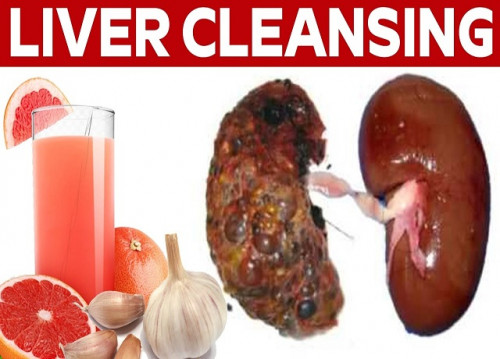 liver-cleanse-parasite-cleanse-life-longevity-parasite-zapper-3.jpg