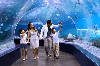 manilaoceanpark-410-a.jpg