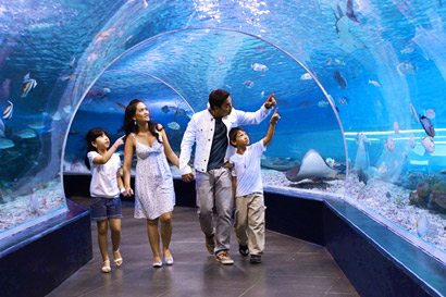 manilaoceanpark2-410-a.jpg