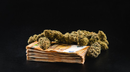 marijuana-buds-with-a-stack-of-euro-banknotes-on-a-2022-12-16-12-01-09-utc.jpg