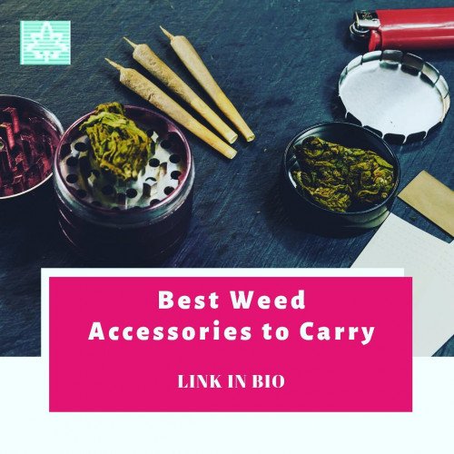 Here is the list of top 5 accessories every self-respecting stoner must have. Discover new ways of storing, preserving, smoking, inhaling, rolling, vaping cannabis within your hand's reach.
#smokeweed #cannabis #rollingpaper #vapepen #grinder #weedaccessories #crusher #herb #greens