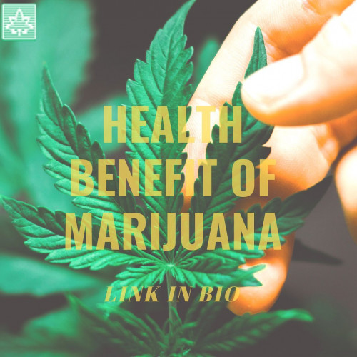 Researchers have identified some fascinating potential benefits of medical marijuana. Here are five emerging benefits of cannabis that will surely inspire further research.
#medicatedmarijuana #healthandcannabis #anxiety #relaxation #stressreliever