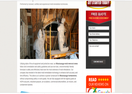 mold-removal-toronto-mold-removal-company-near-me-mold-removal-products-mold-removal-spray-mold-removal-brampton-professional-mold-testinge6ad10170b4b0775.png