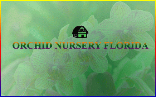 orchid-nursery-florida-31.5.19.gif
