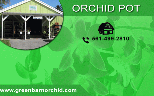 Find the new design orchid pot shop from Green Barn Orchid Supplies. It is the No1 oldest orchid nursery supplier, located in Florida, USA. We are offered a varied collection of orchid pots much more products; here you can get quality of Orchid pots at an affordable cost. Place your order now! Contact: (561) 499-2810. See more at https://shop.greenbarnorchid.com/category.sc?categoryId=3.