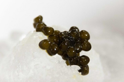 order-caviar-online.jpg