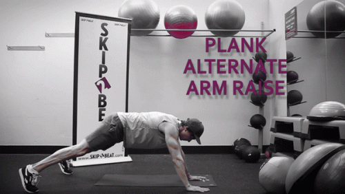 plankAlternateArm